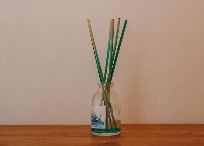 Orion Appartement Naousa